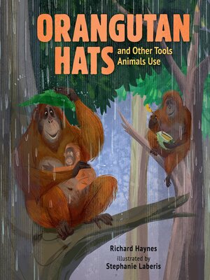 cover image of Orangutan Hats and Other Tools Animals Use